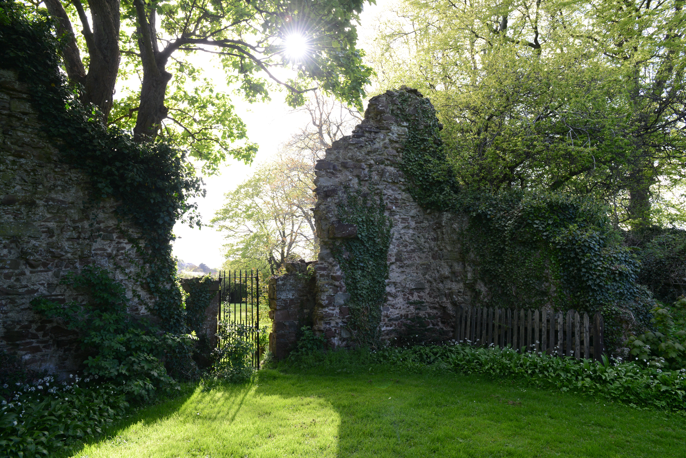 Ruins of Lindores Abbey in Fife, where Friar John Cor distilled the first recorded Scotch whisky